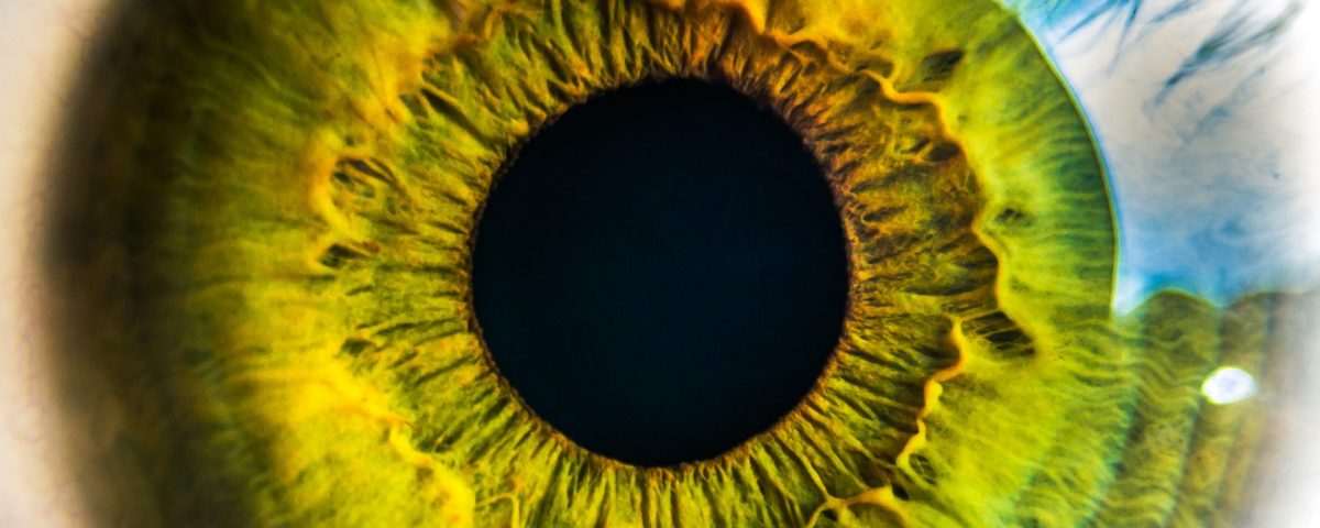 retinografía en retina